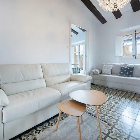Tarracohomes, Attic La Nau
